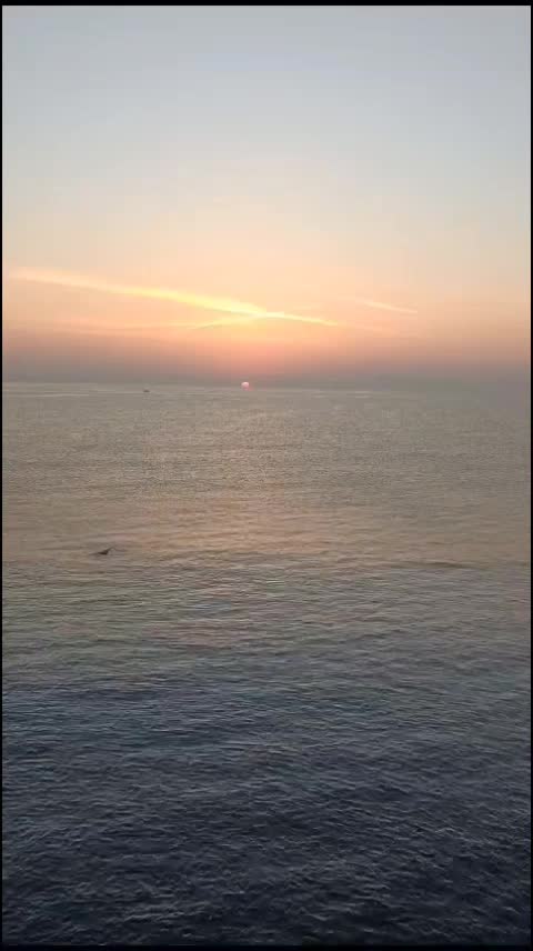 @Siciliana💪io
