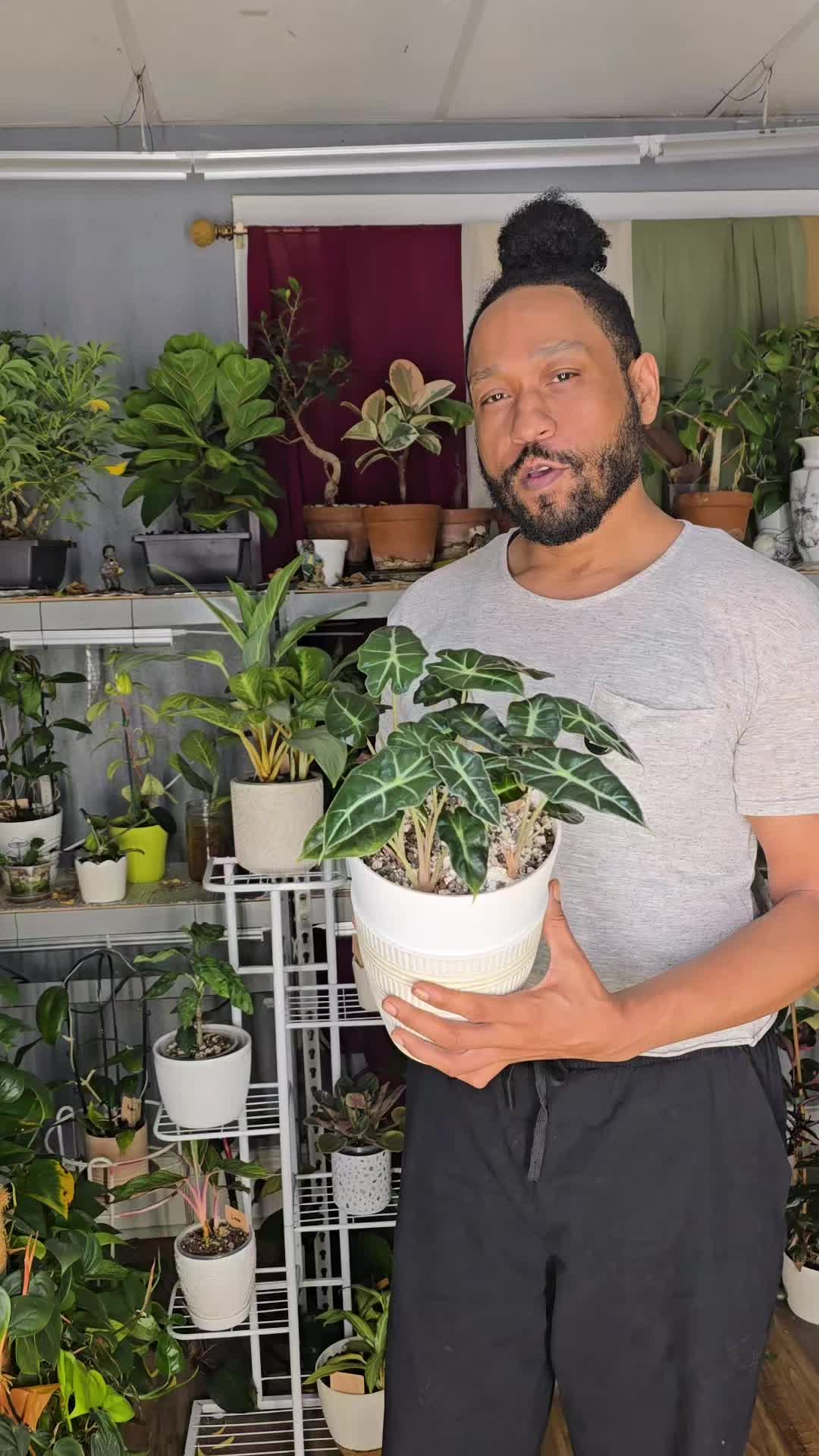 @JT - BigEGOPlants