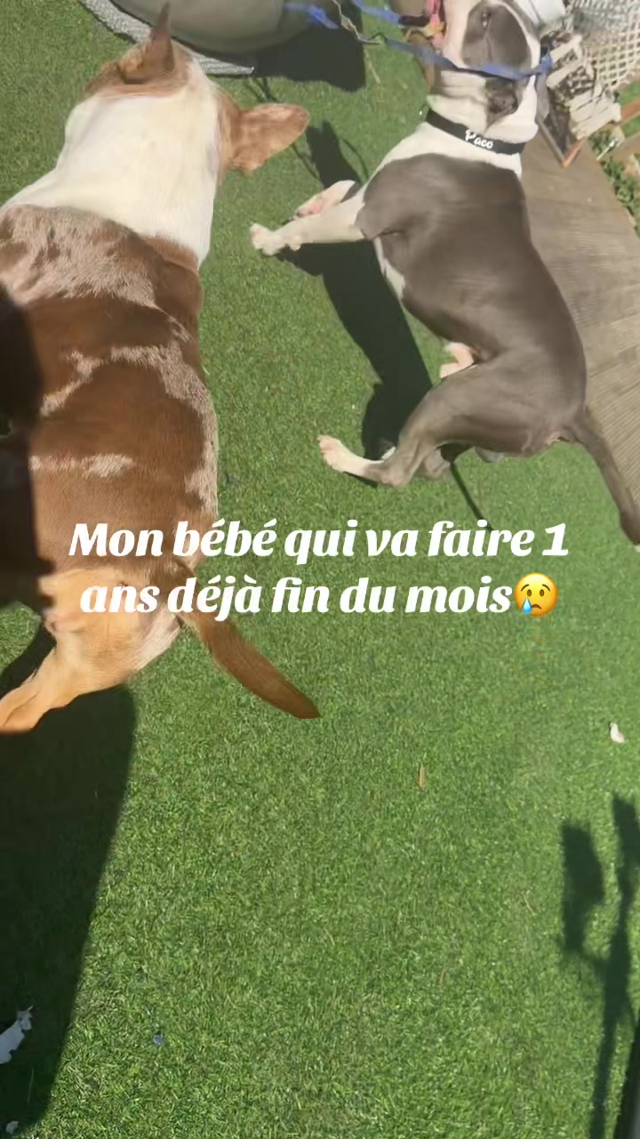 @🔥 Athena en follie 🔥