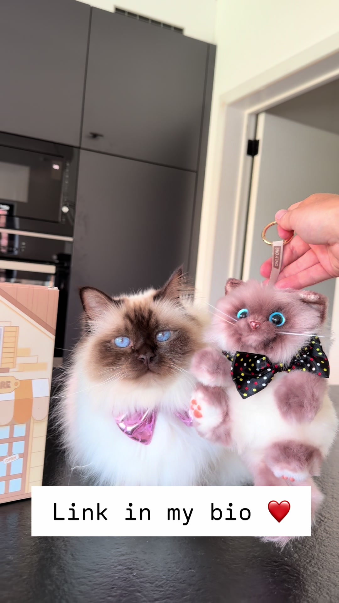 @Henk&Ollie 😺
