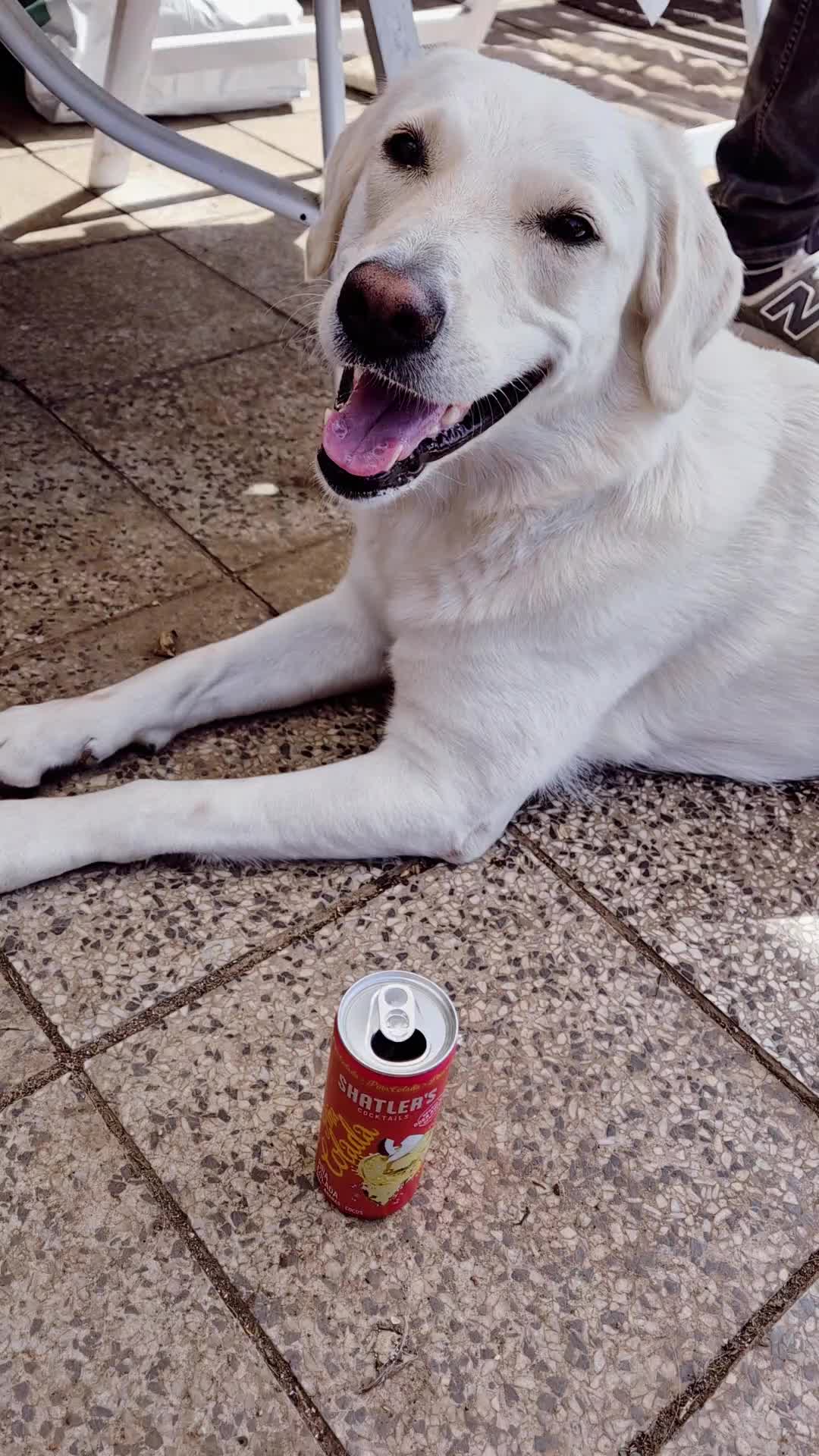 @Nicole🙋🏼♀️ mit 🐕Cora🐾🩷