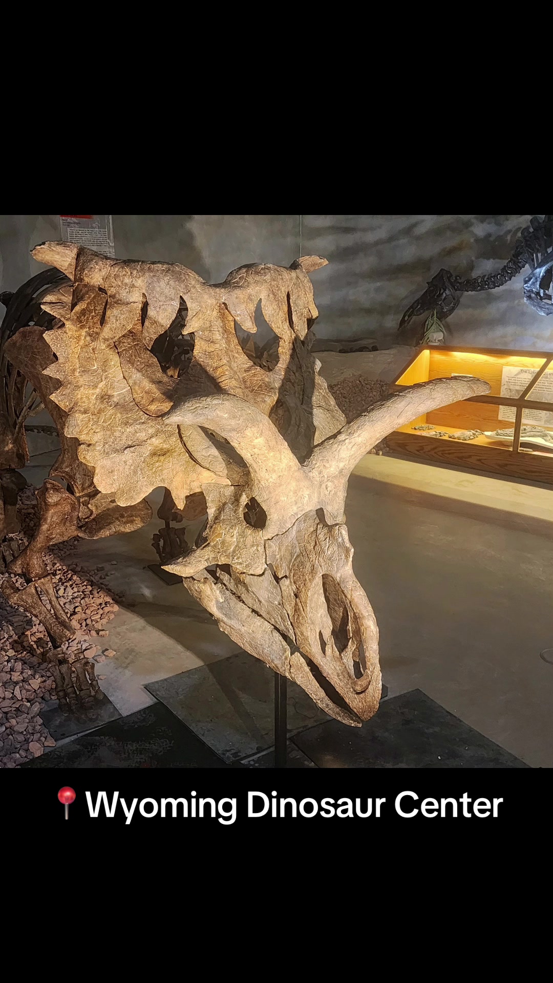 @Holly Simon 🦖