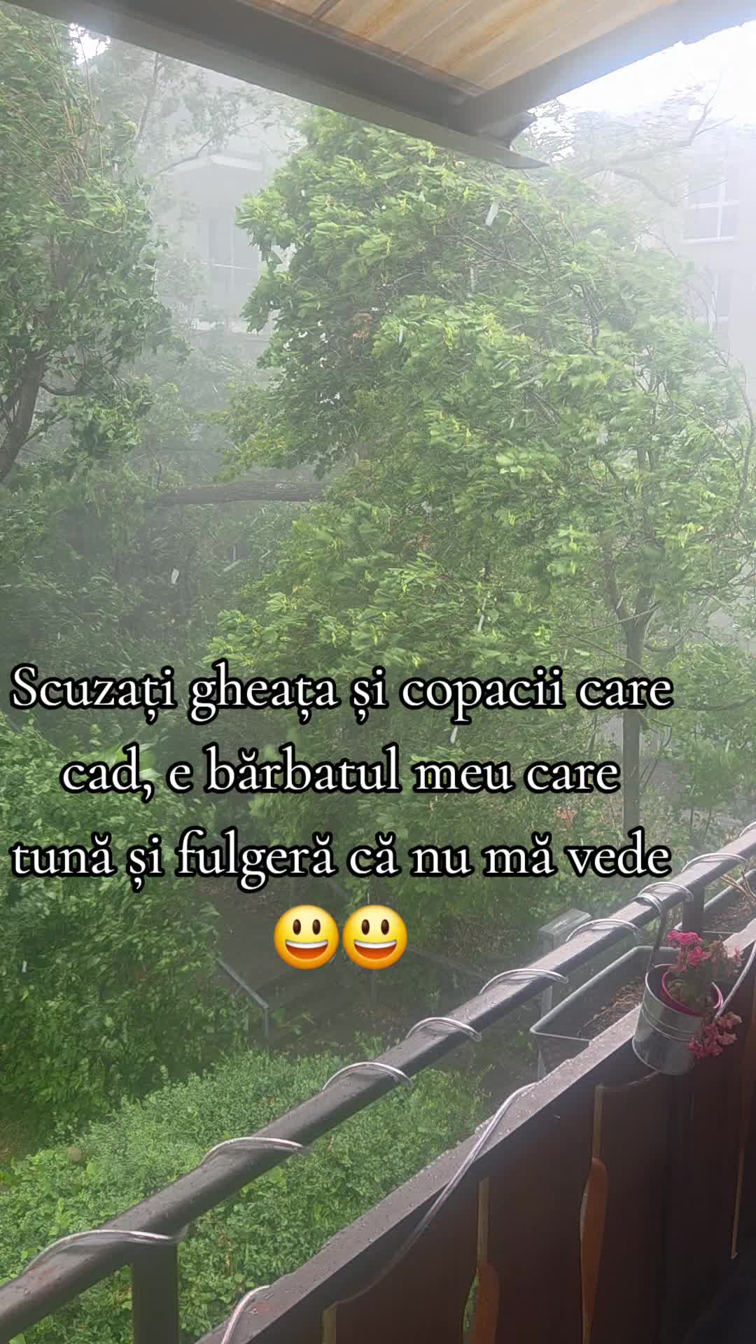 @Gianina Morena