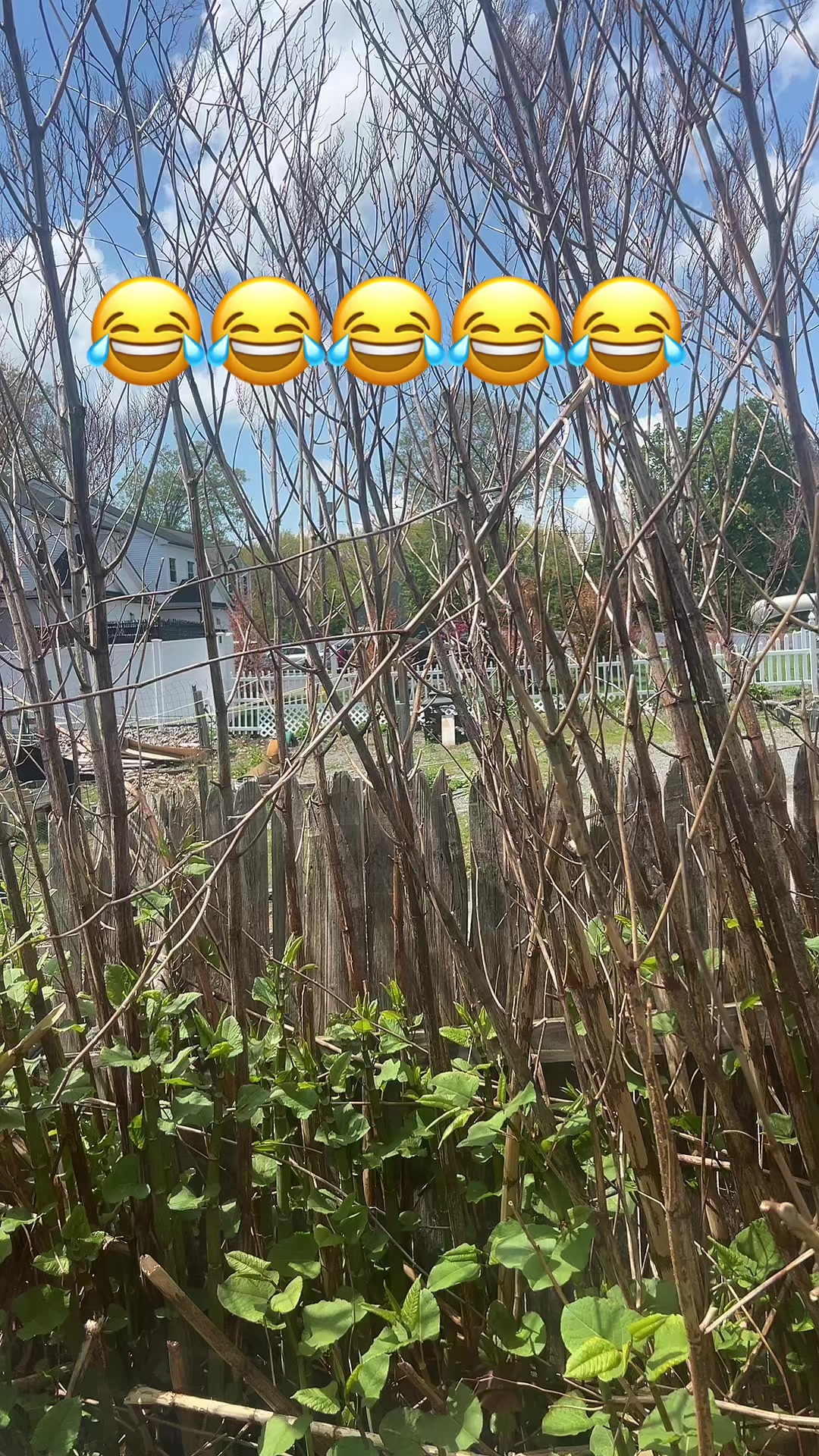 @idaliarivera94 🍒