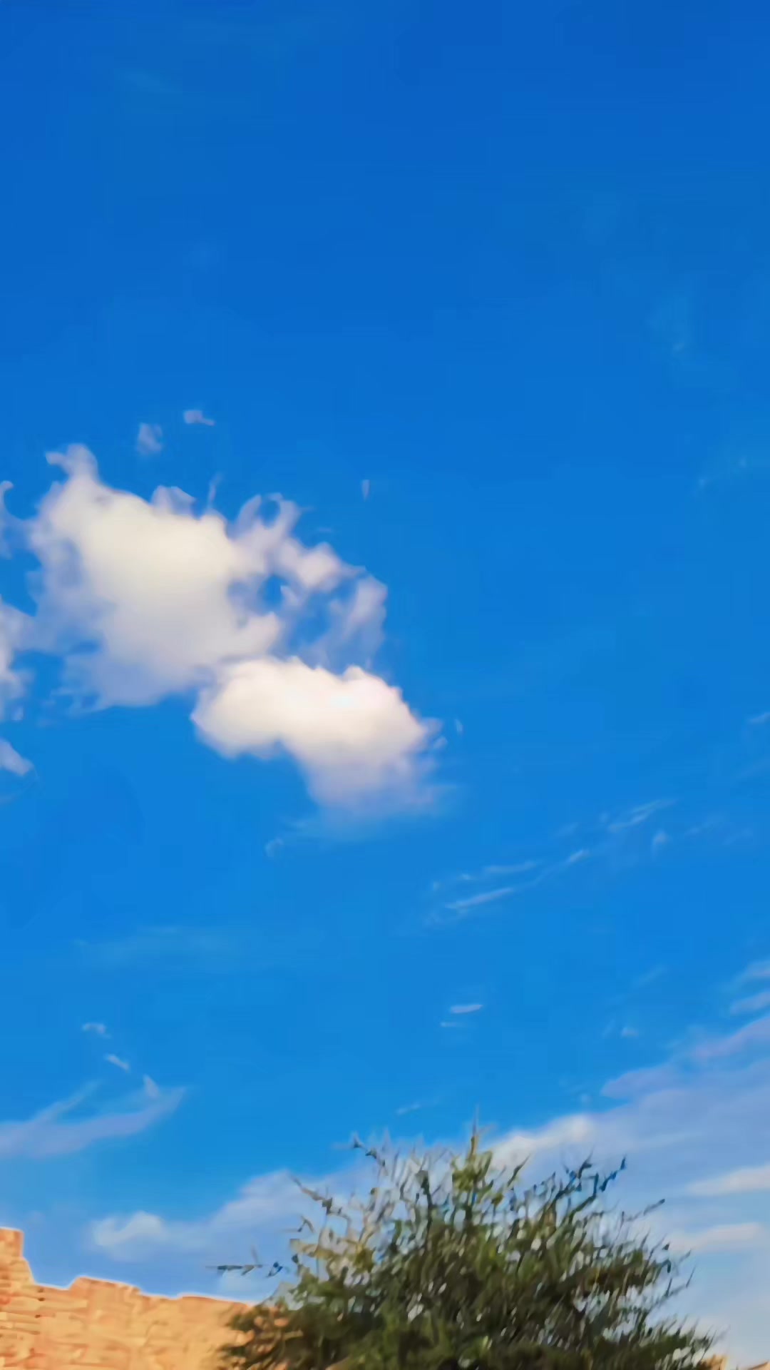 @💫️﴿{ذاکر ملنگ﴾💫