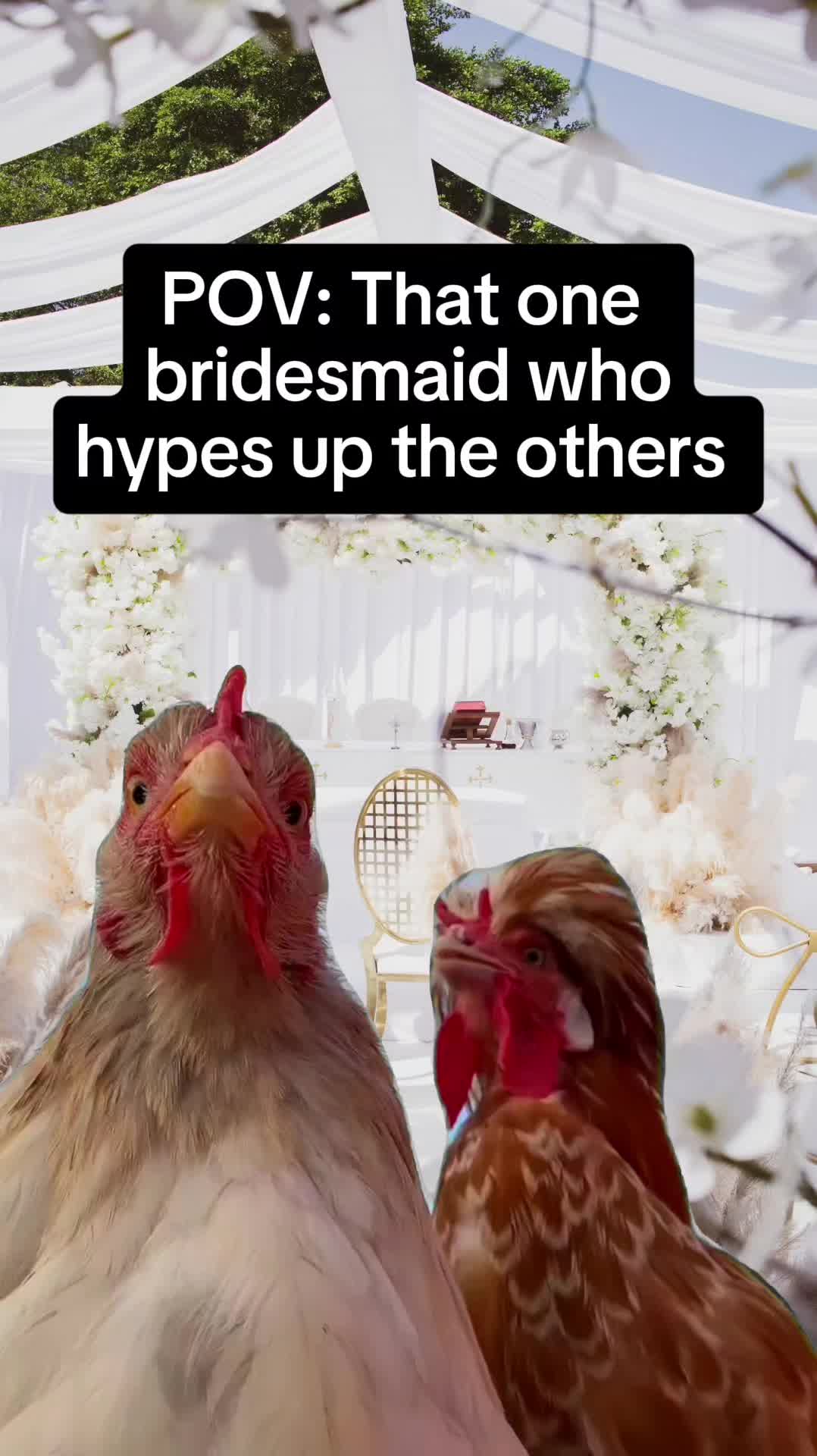 @The Wedding Boss