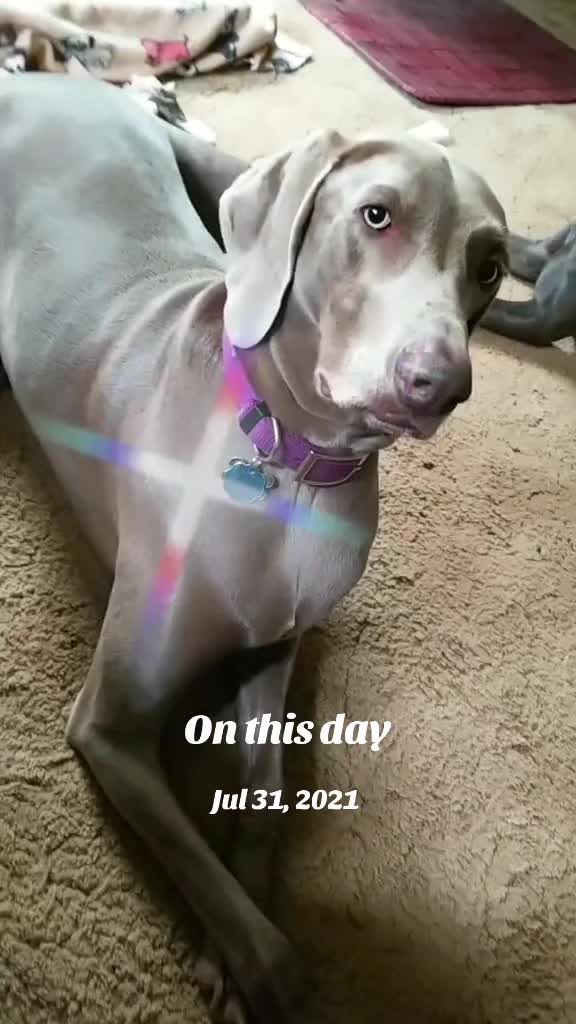 @Tina72🤙