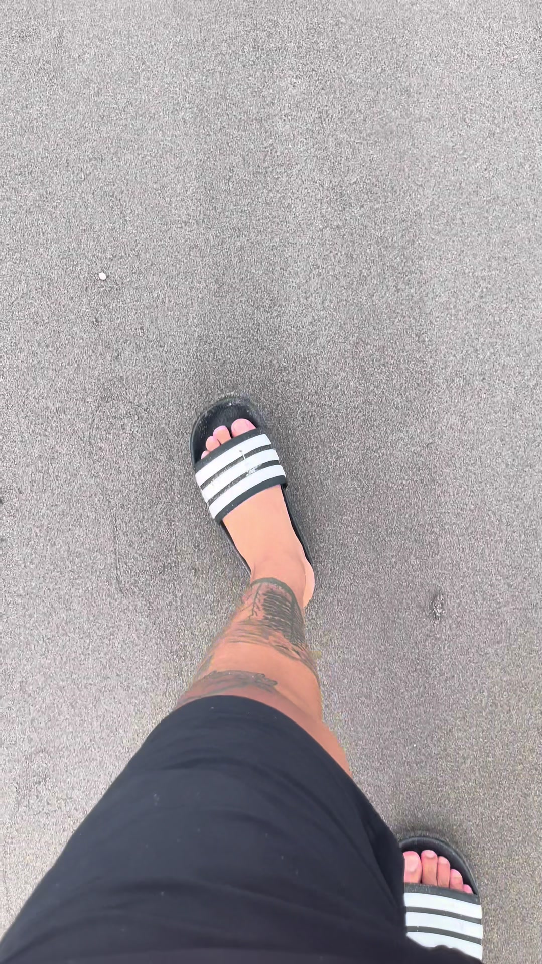 @Maldonado🥷🕷️