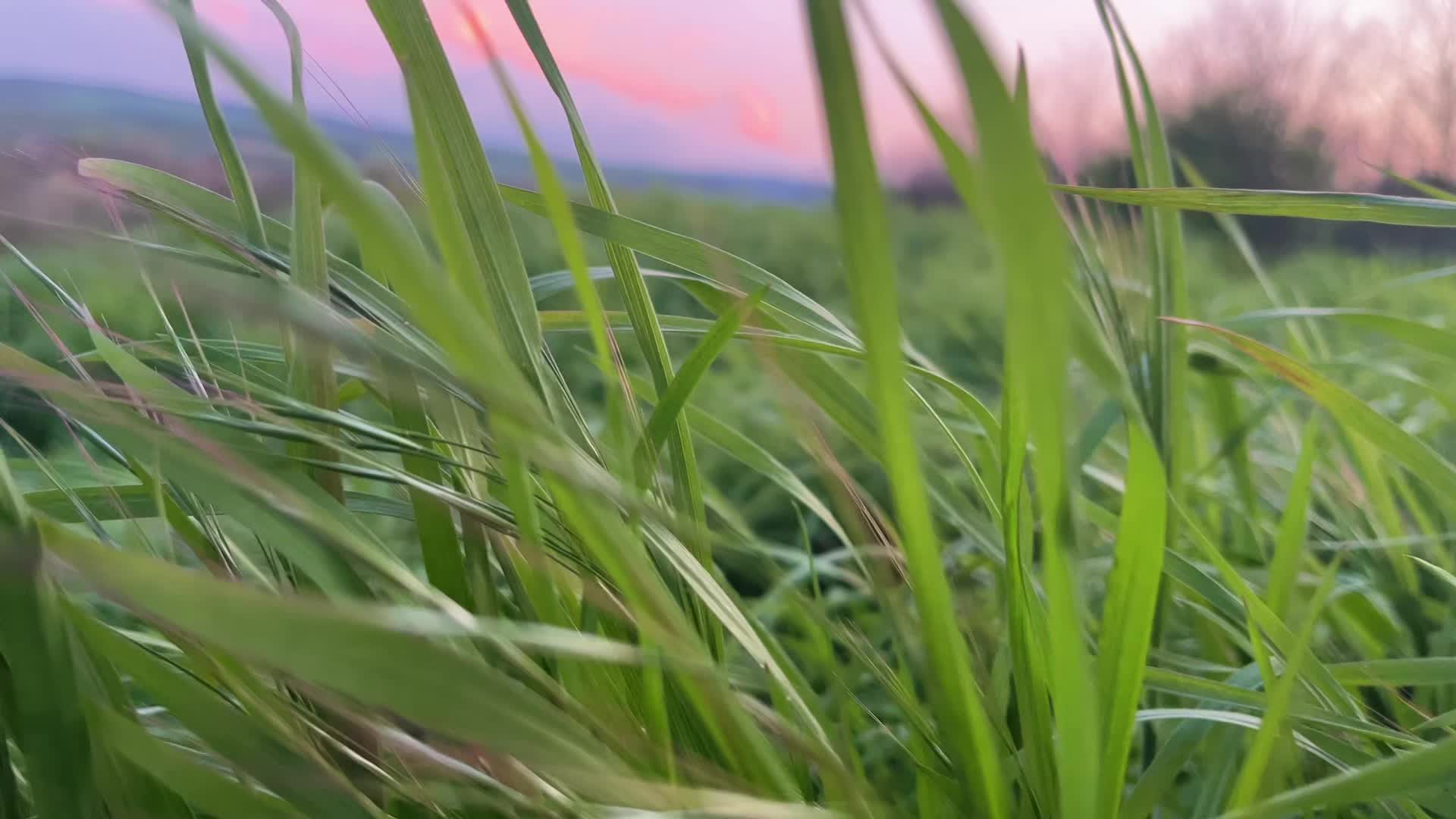@mnwwfty