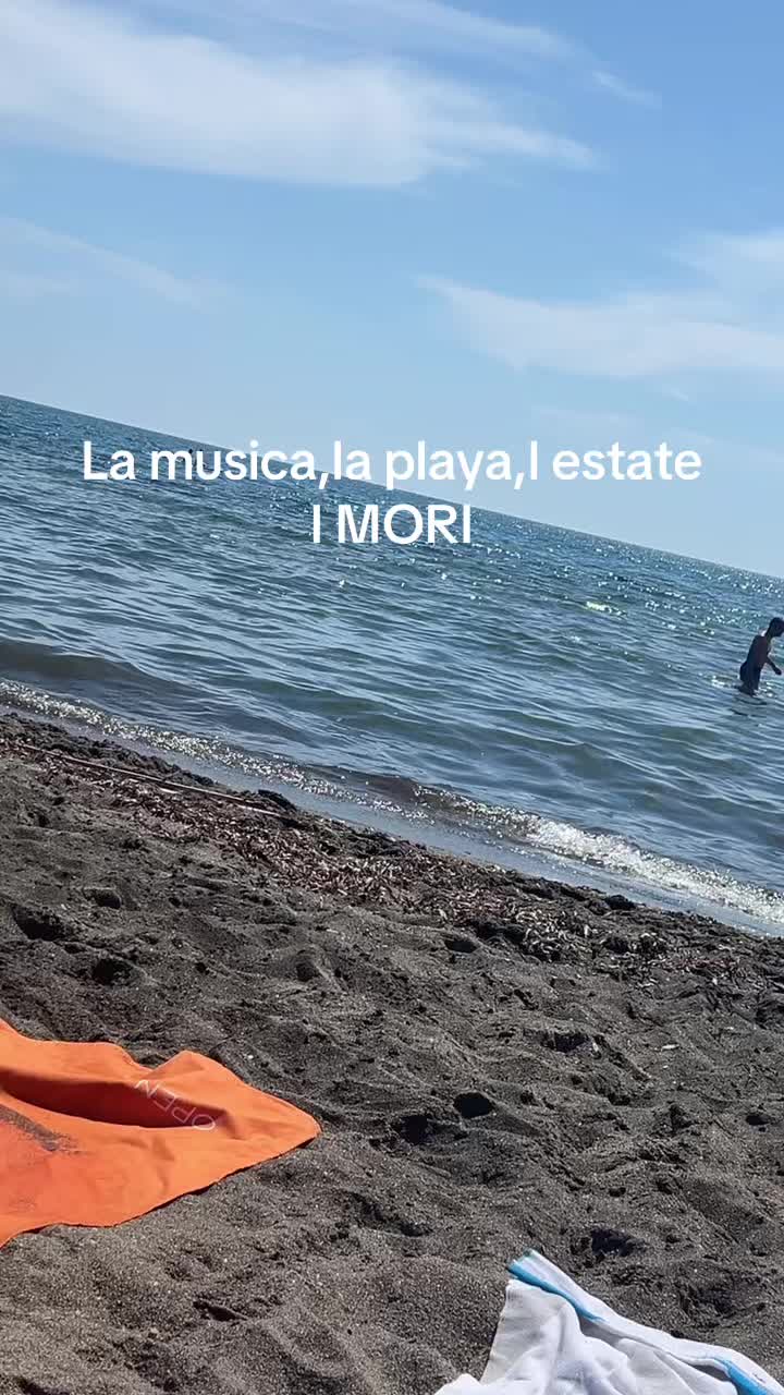 @🦈
