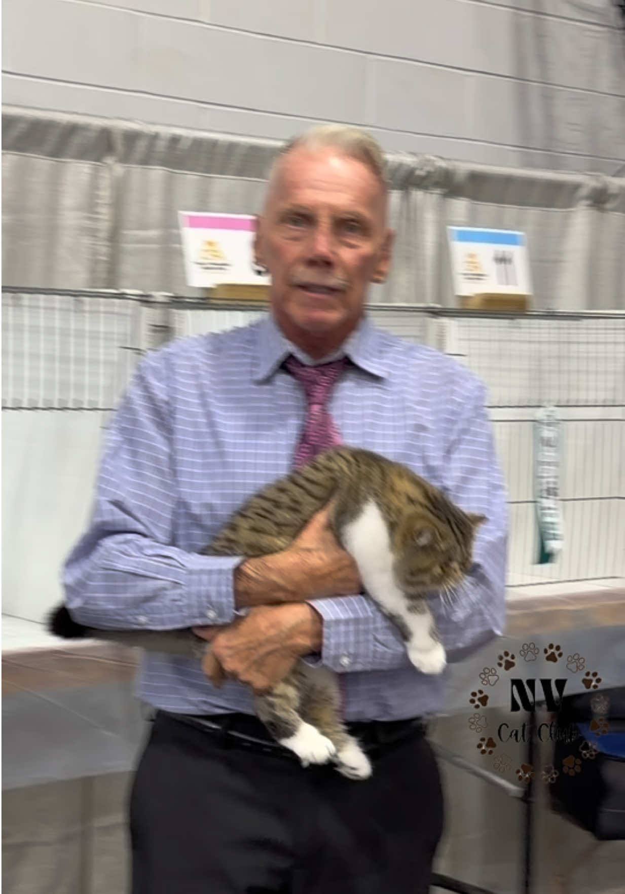 @NewVisionCatClub