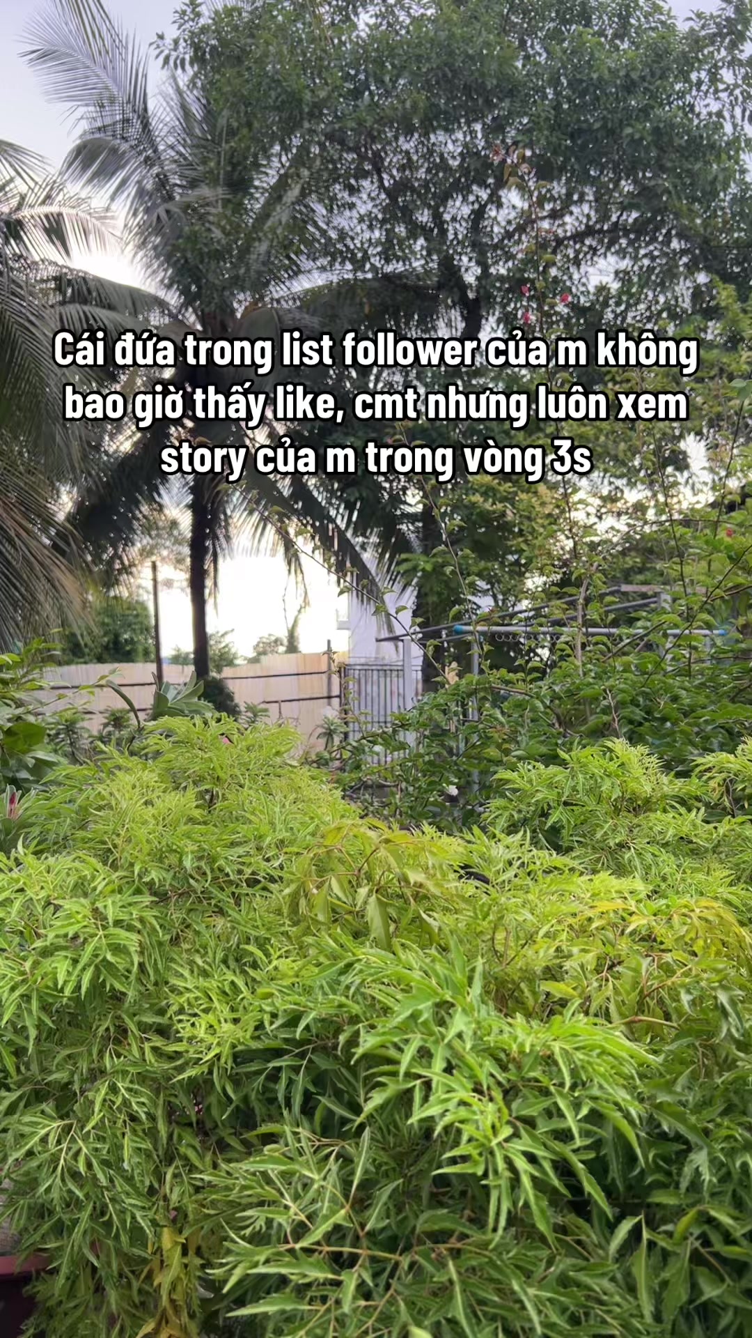 @Nguyễn Minh Hiếu