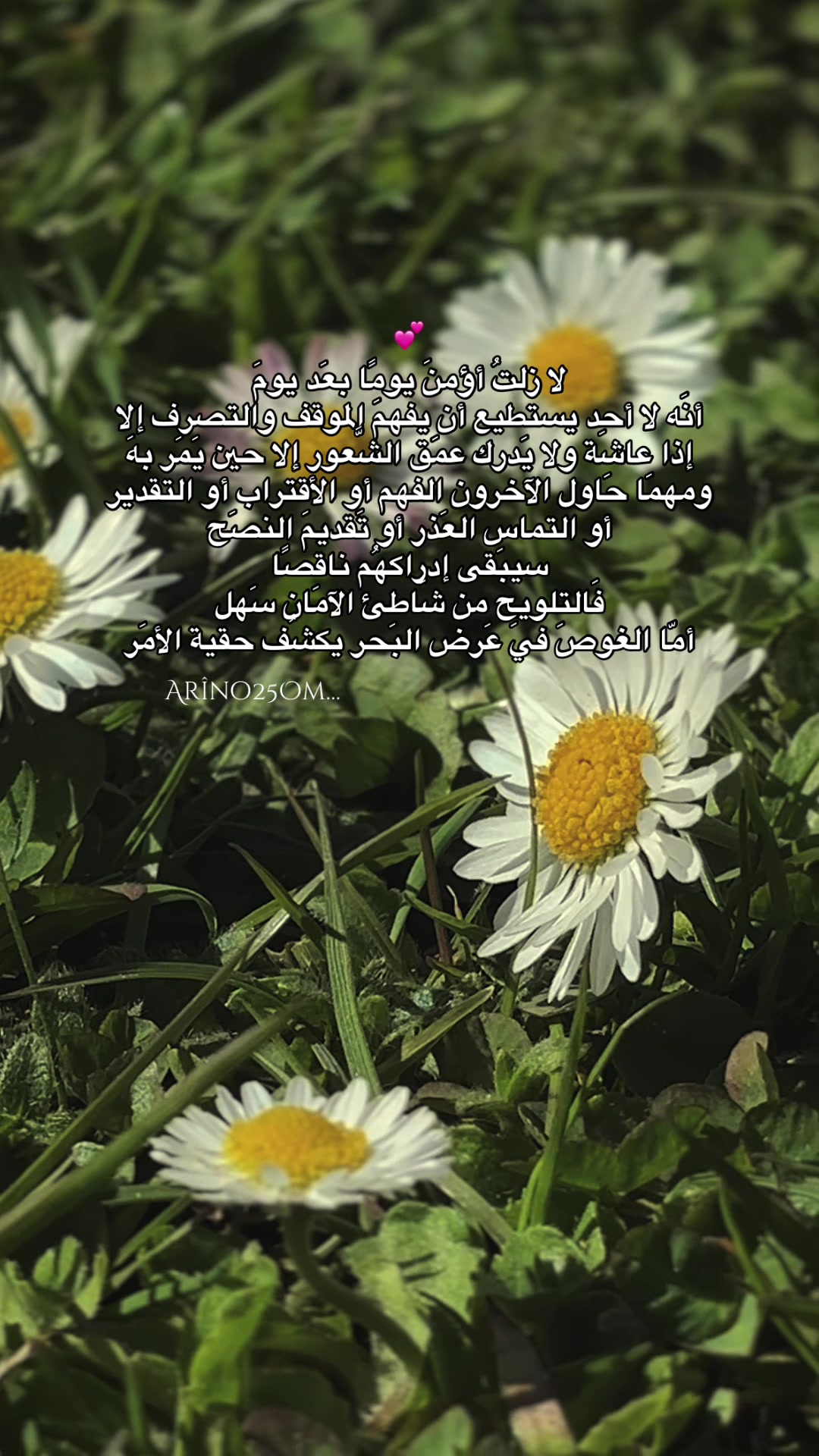 @Arîno25Om