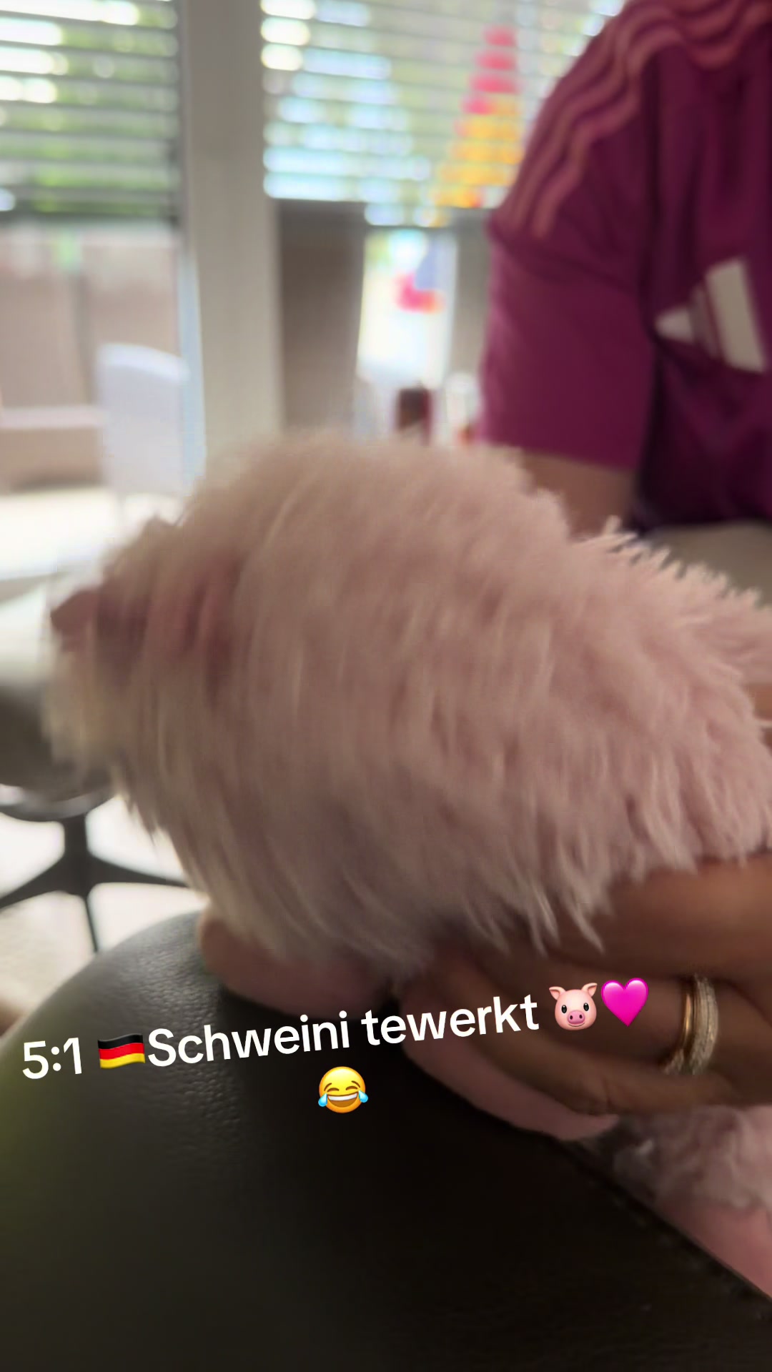 @schwabentine