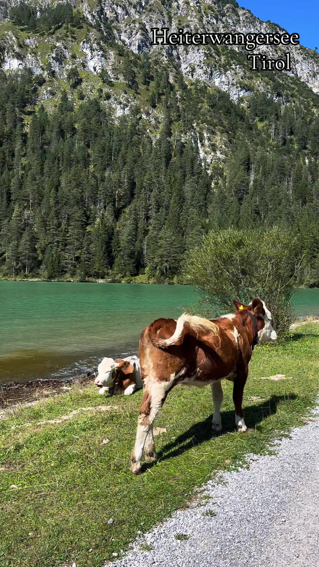@Natur und Alpen Paradies 🏞️