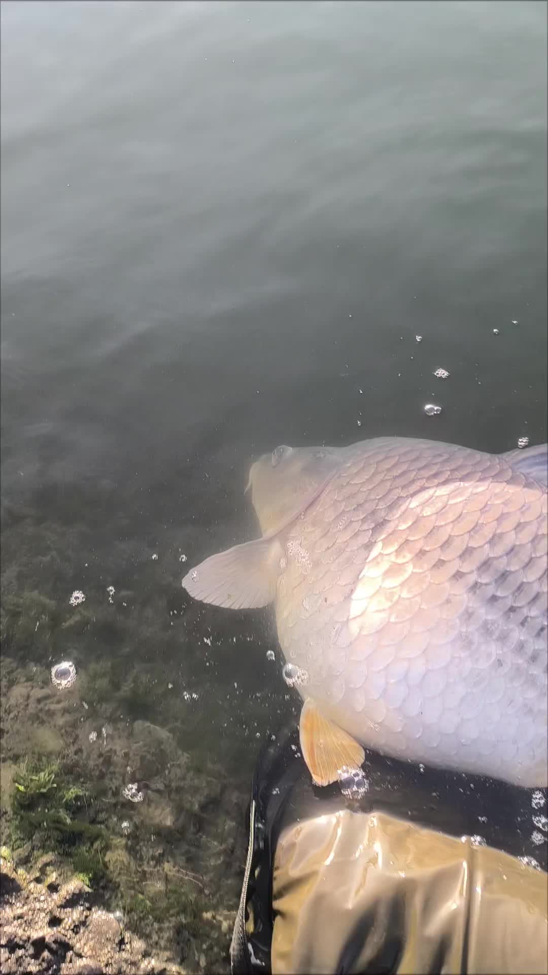 @Jocarpfishing