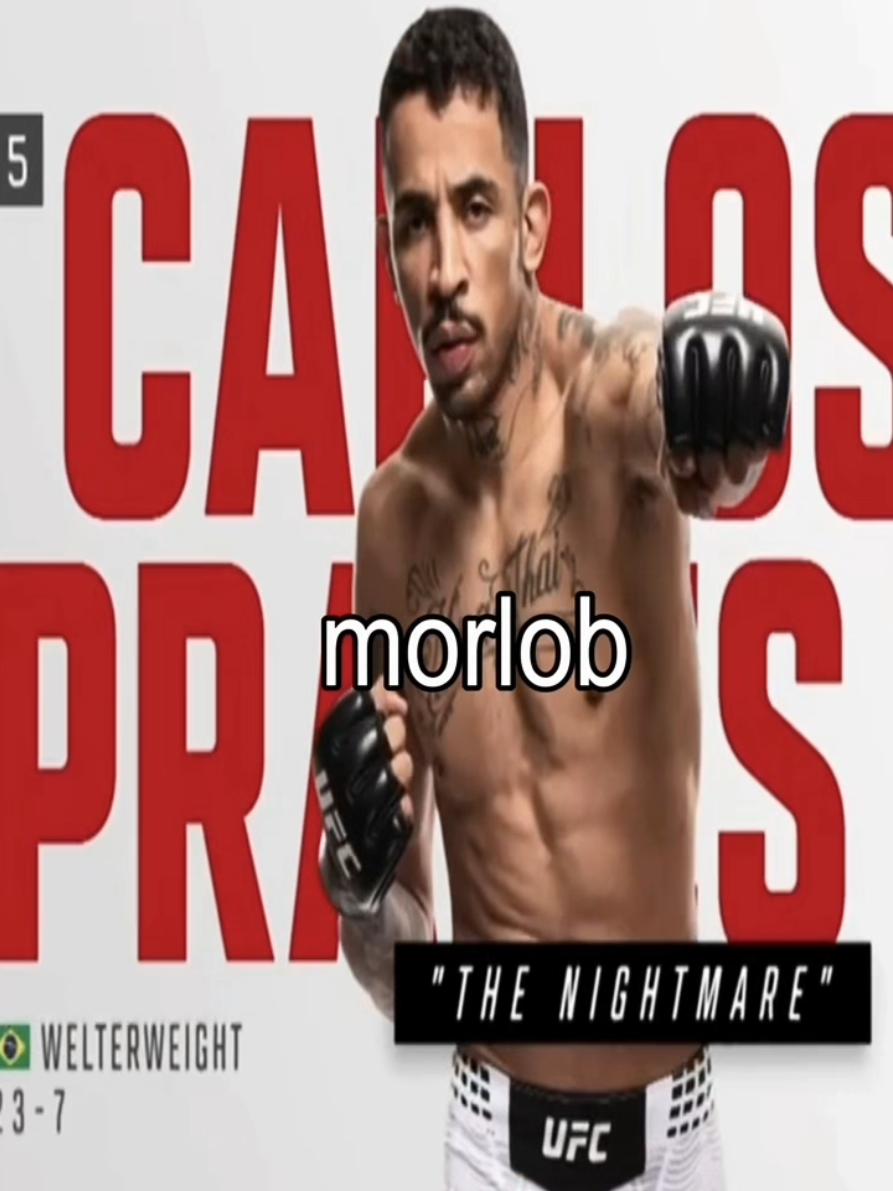 @morlob