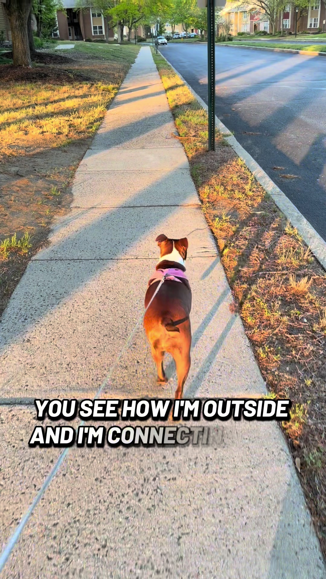 @Susie