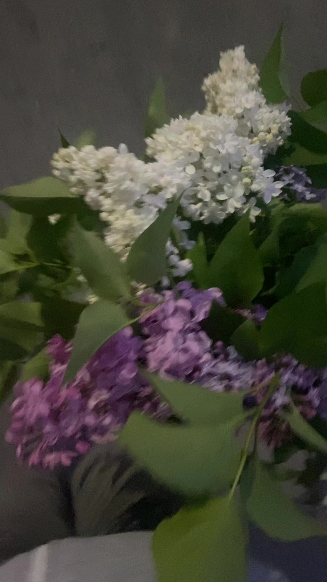 @лин