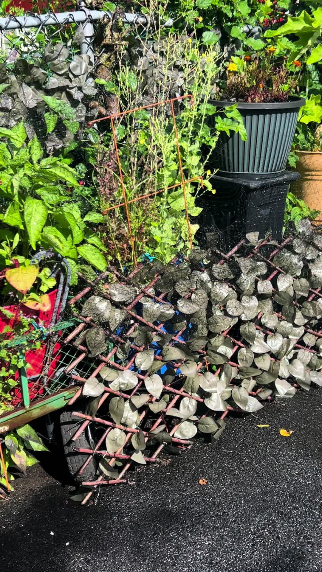 @jojo♥️autism💚garden💙dogmom