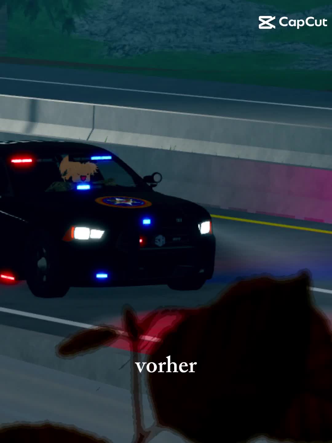 @Los Angeles ROLEPLAY V2