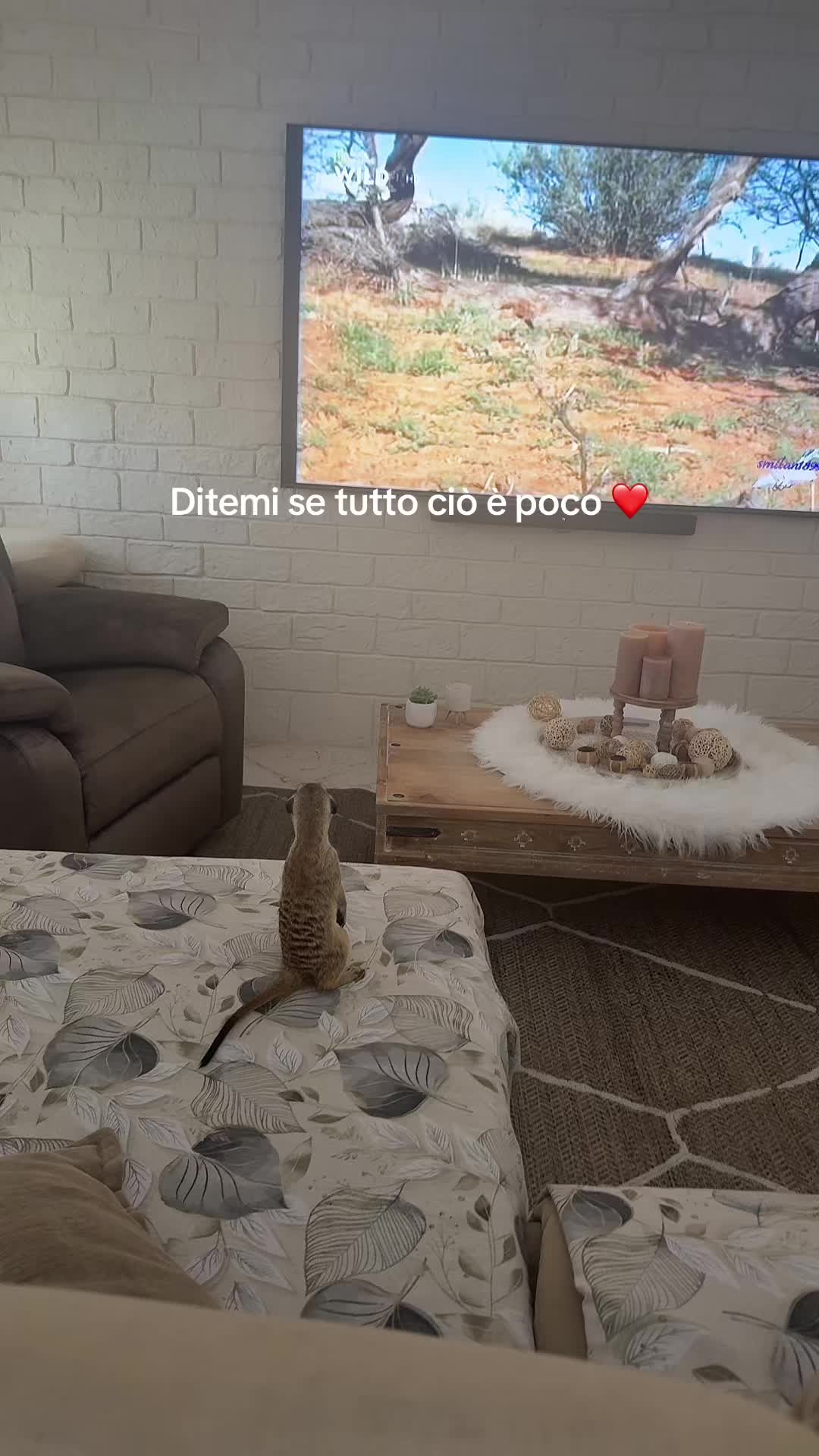 @agata17303