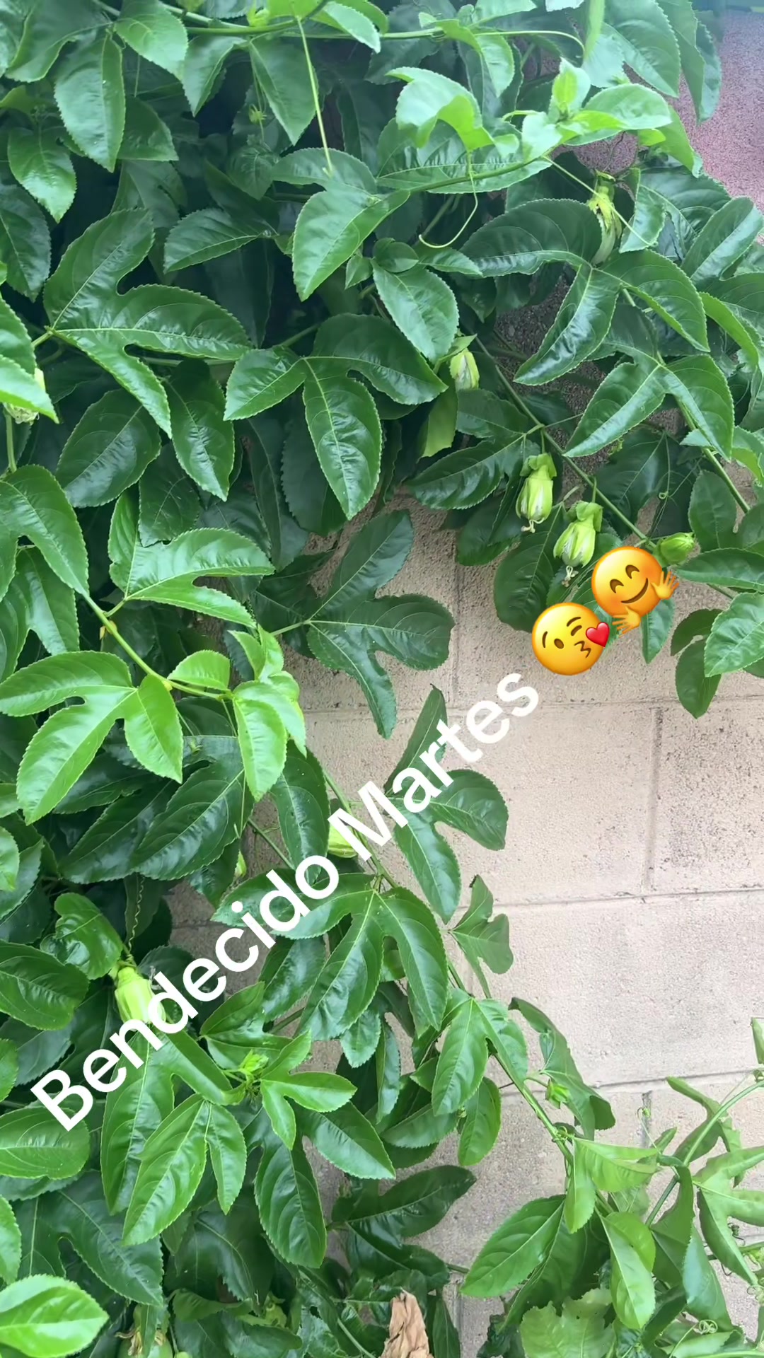 @Elizabeth27