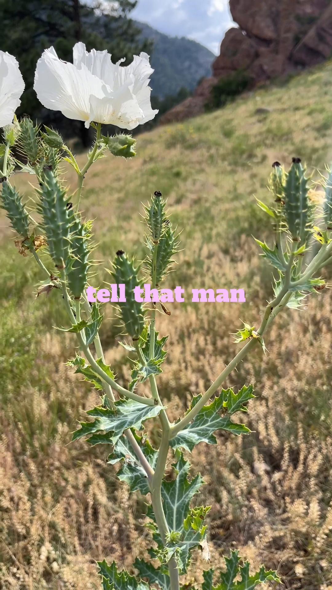 @bootsandskeins