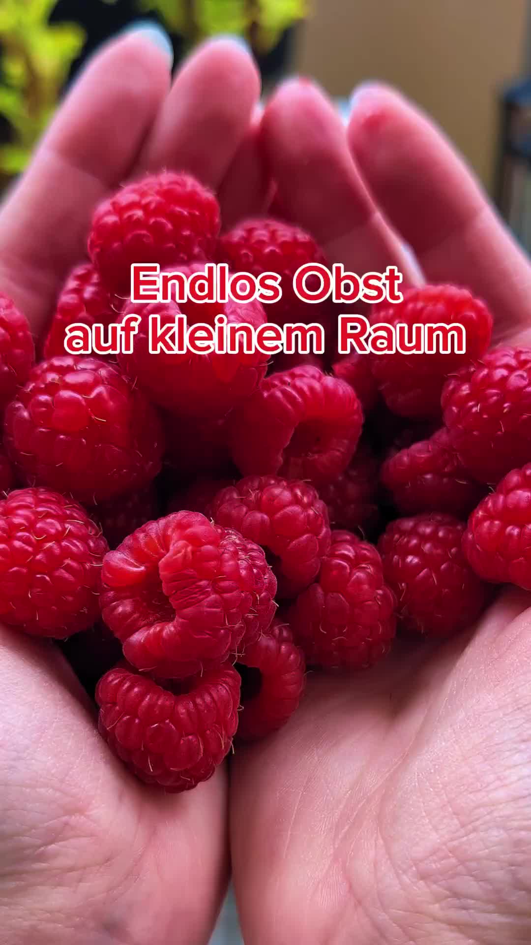 @ErnteExperte