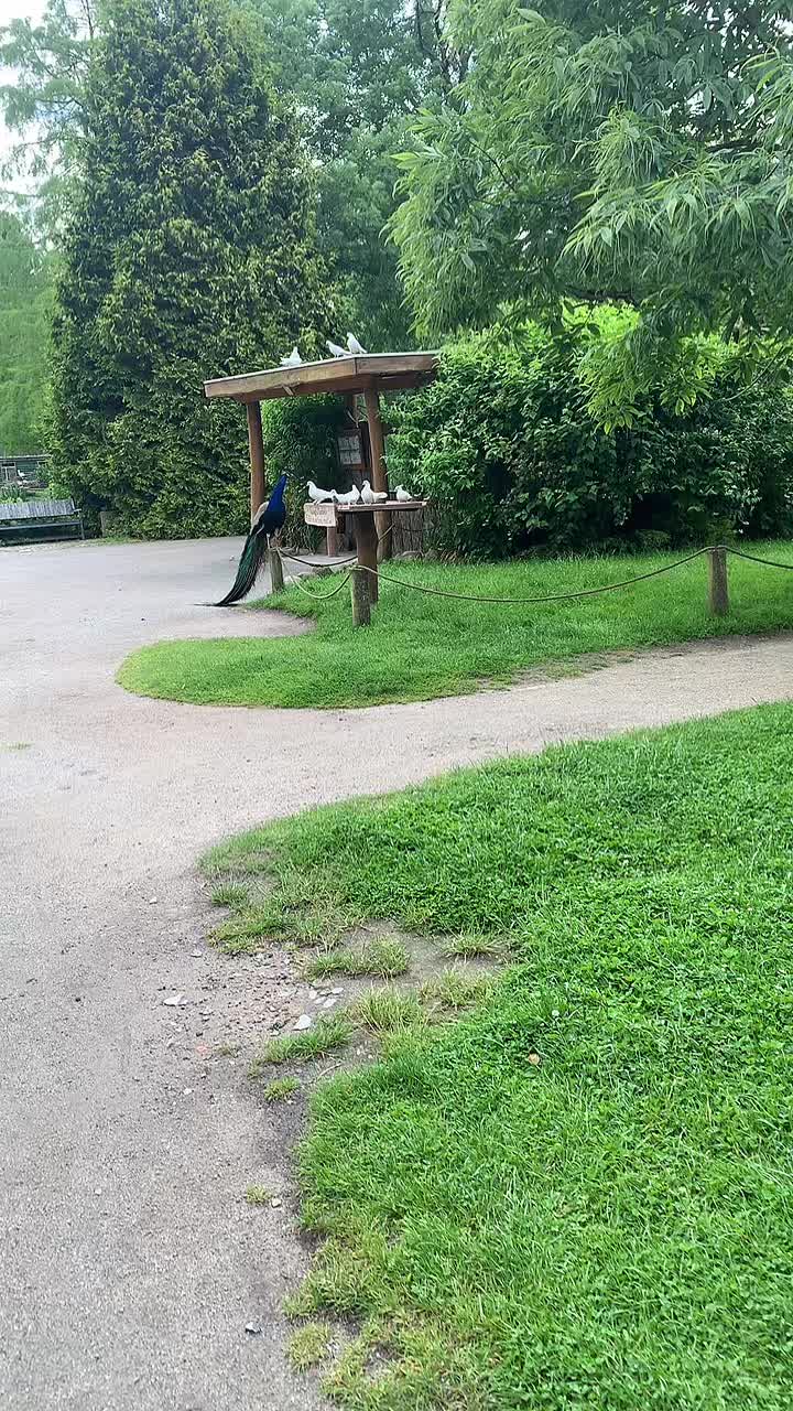 @Ягодка