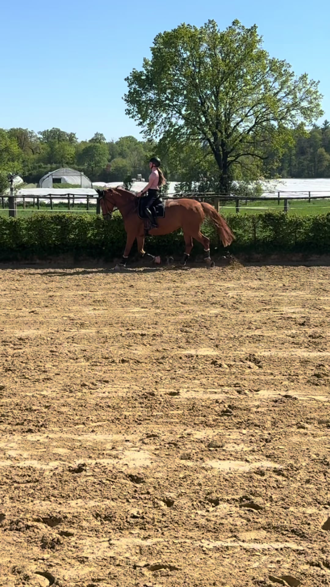 @lea_ponyeventing