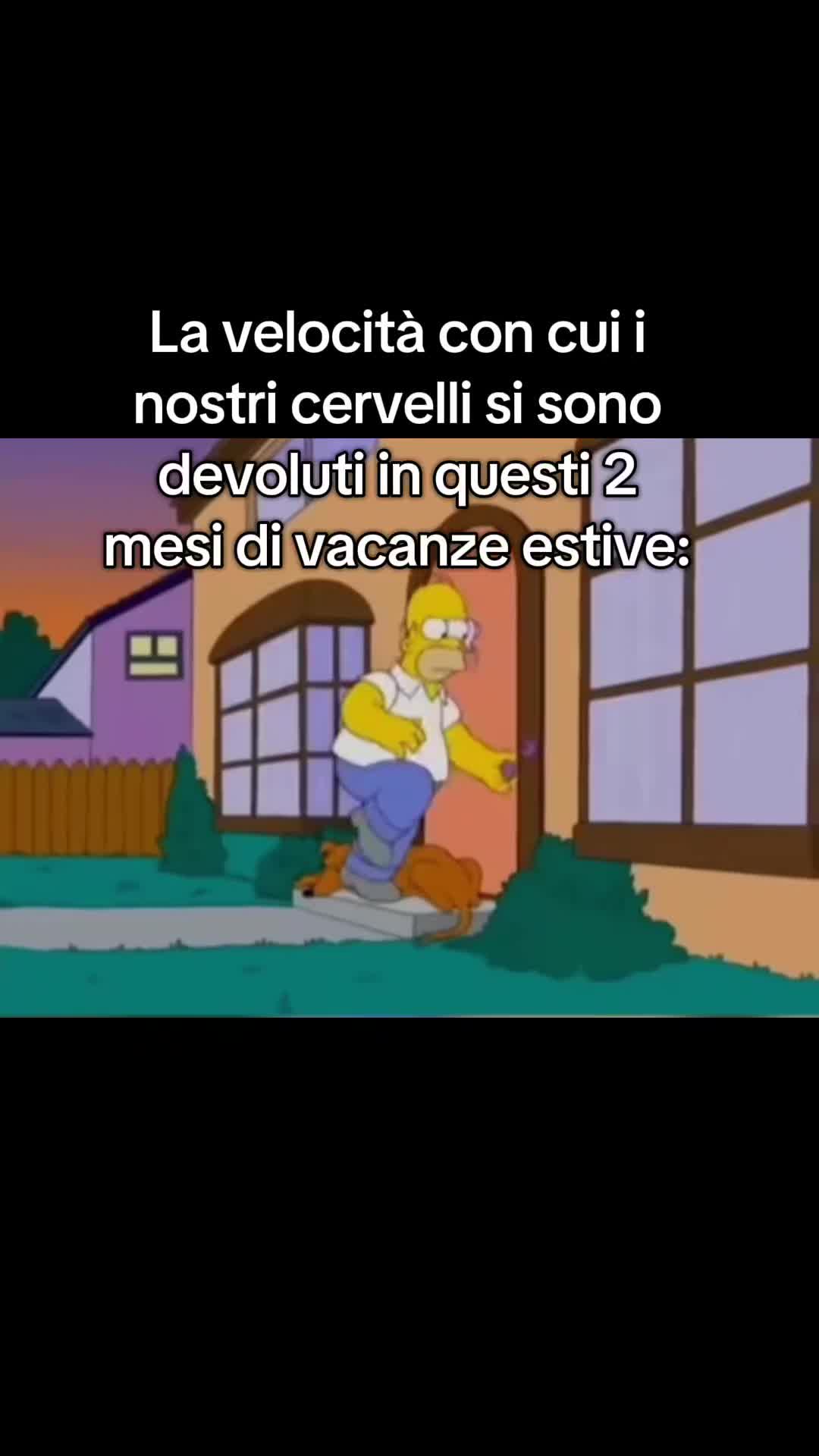 @MEMES BY 𝑨𝒍𝒆
