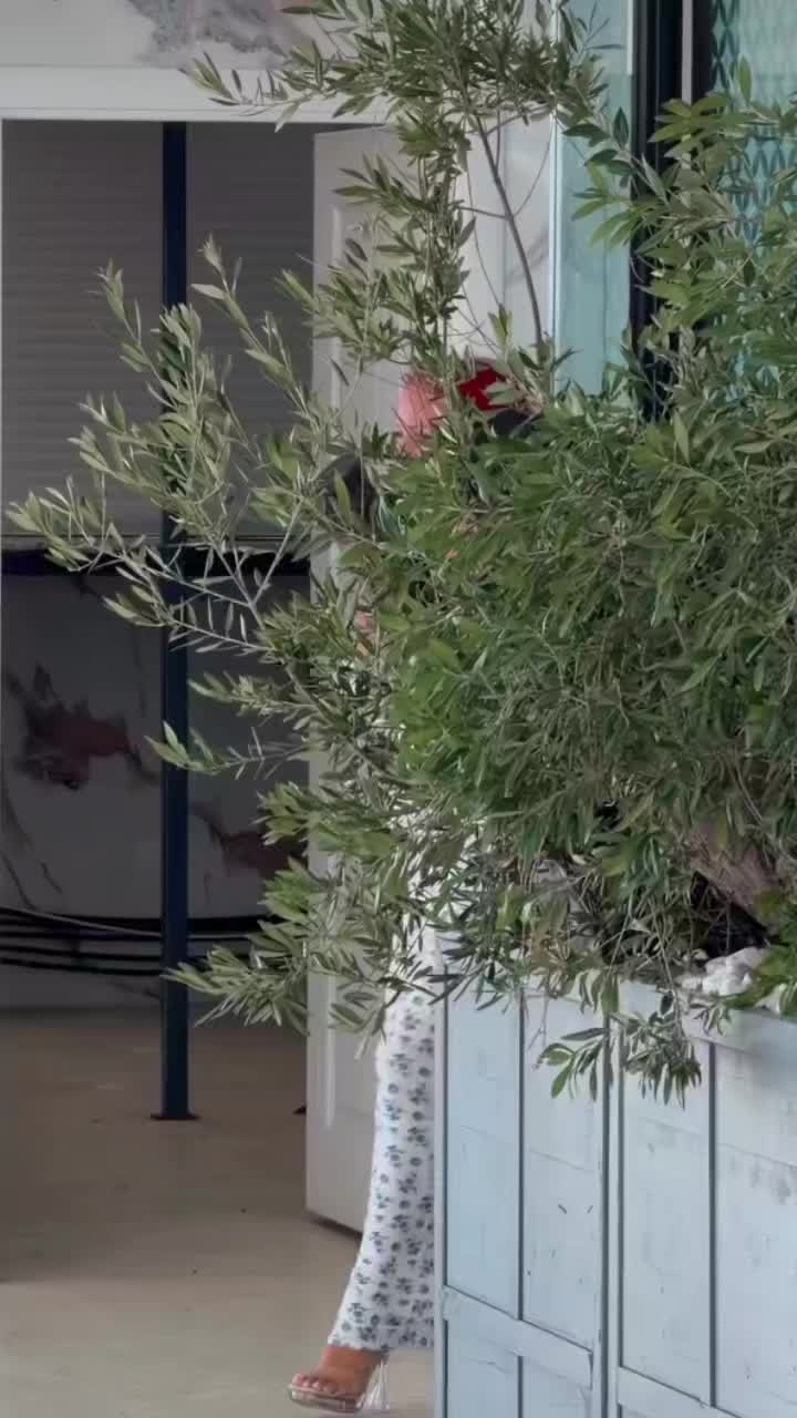 @vittoriodalessio5