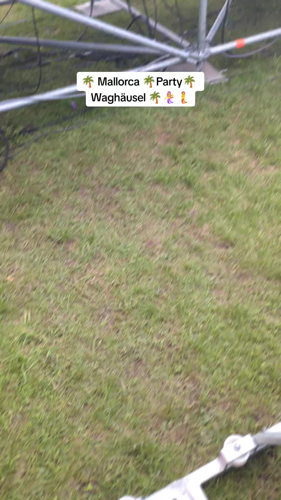 @xloyal_soulx