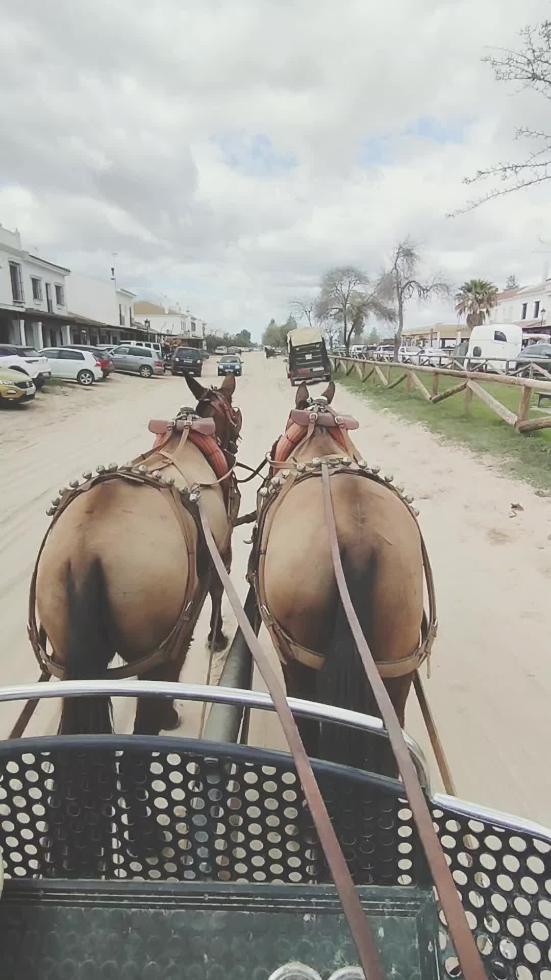@Julio Ollero ramos