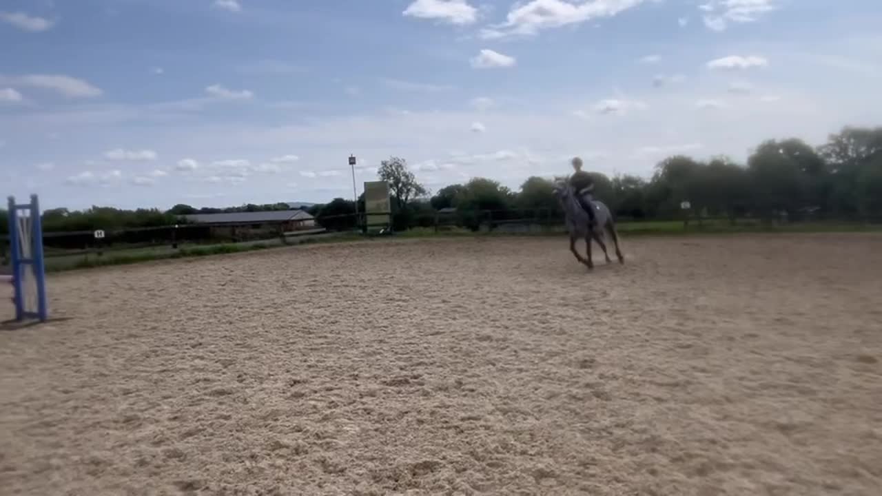 @Ruby🐴