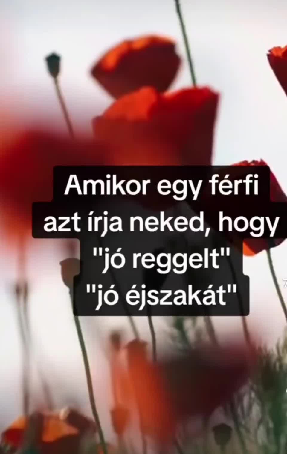 @vikt&oacute;ria kiss