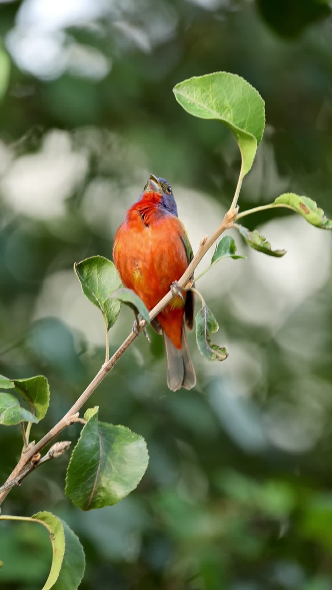 @NatureLoverHeather