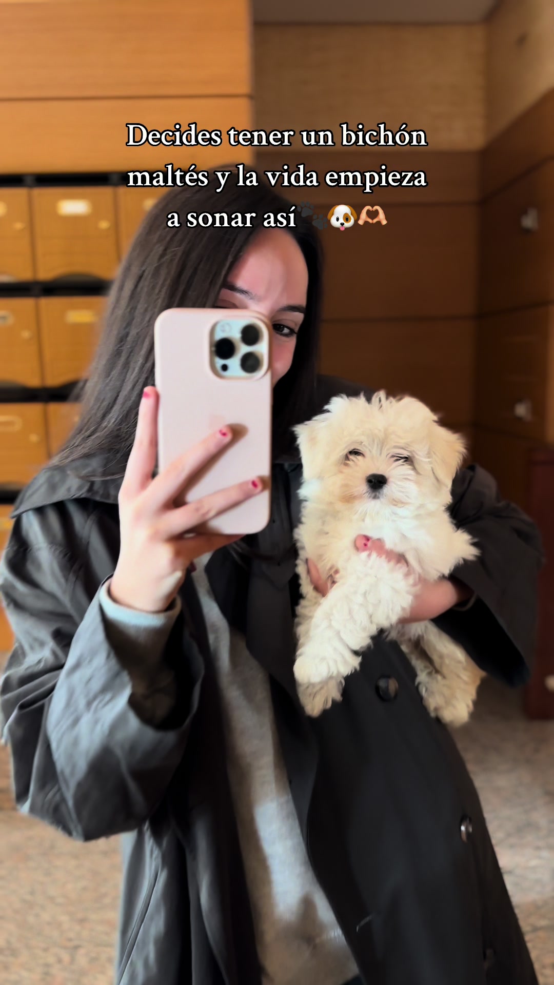 @Carli