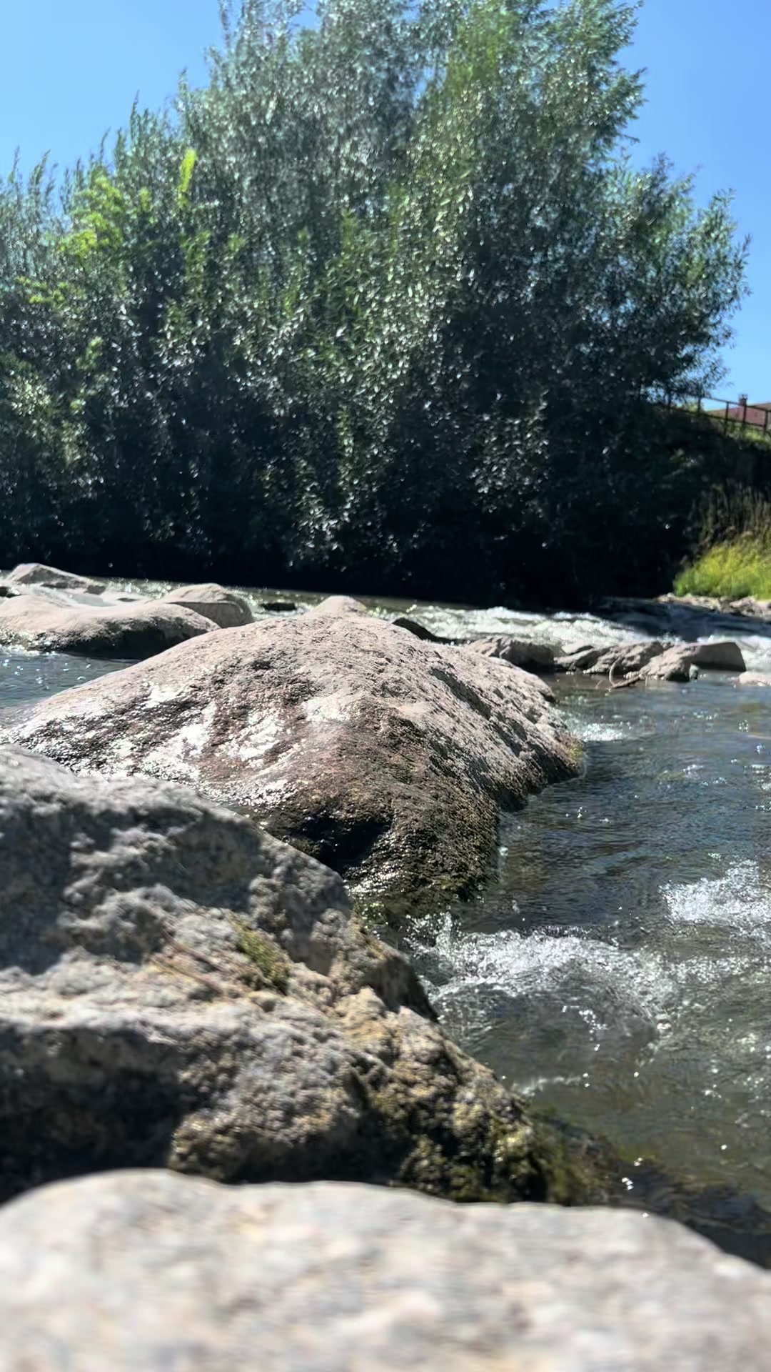 @🇫🇷RishadNoor🧿🌿رشاد نور🇦🇫