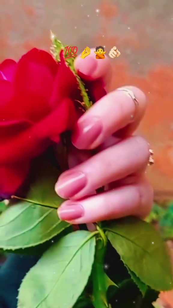 @🎀ᵠᵘᵉᵉⁿ ᵒᶠ ʸᵒᵘʳ ʰᵉᵃʳᵗˢ🎀