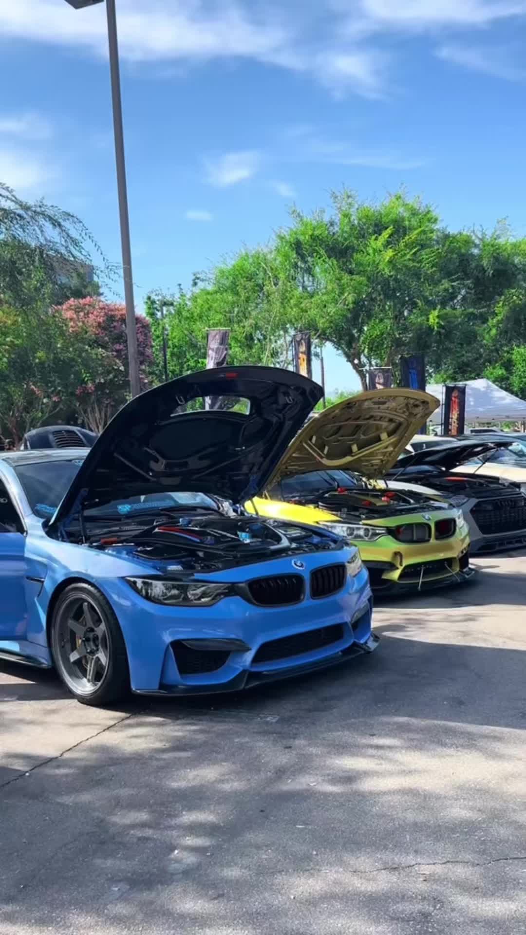 @Pineal.E85