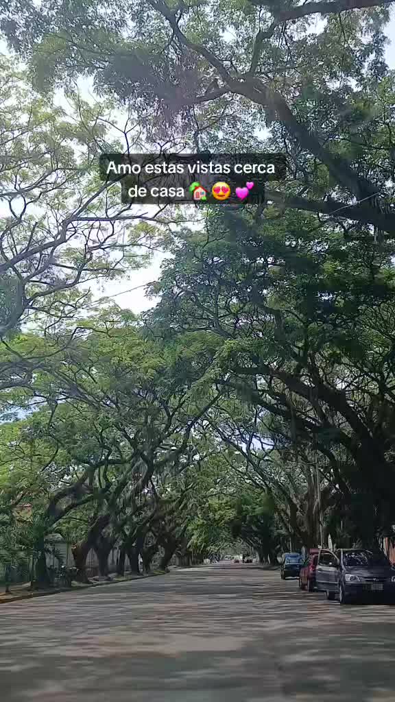 @Paola