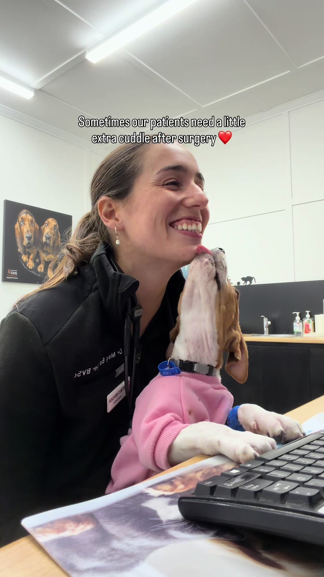 @drmegthevet