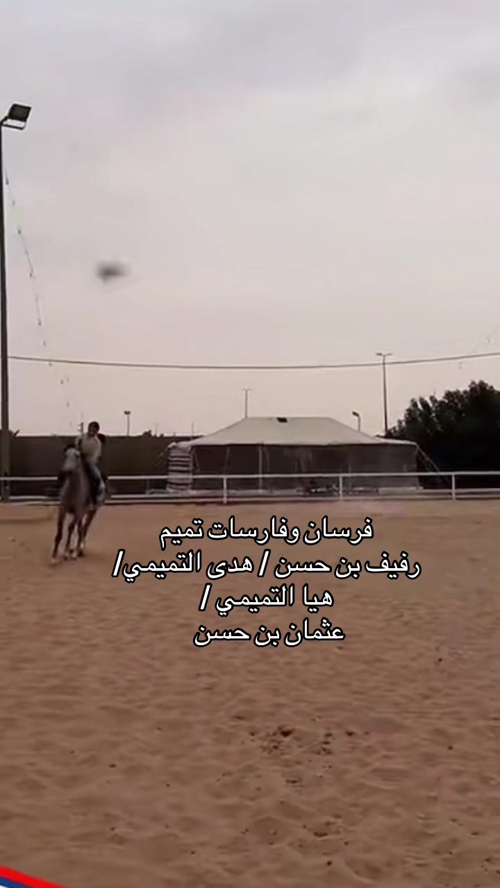 @فارسات وفرسان سدير