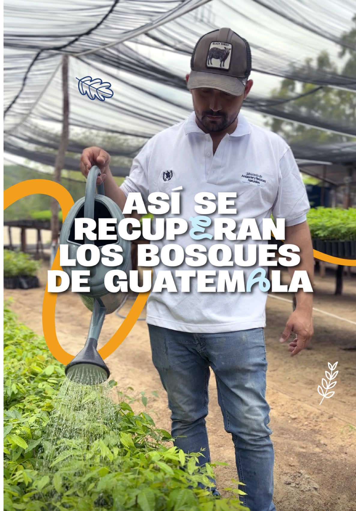 @Ministerio de Ambiente GT
