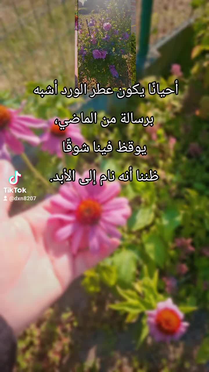 @✨️Doaa✨️