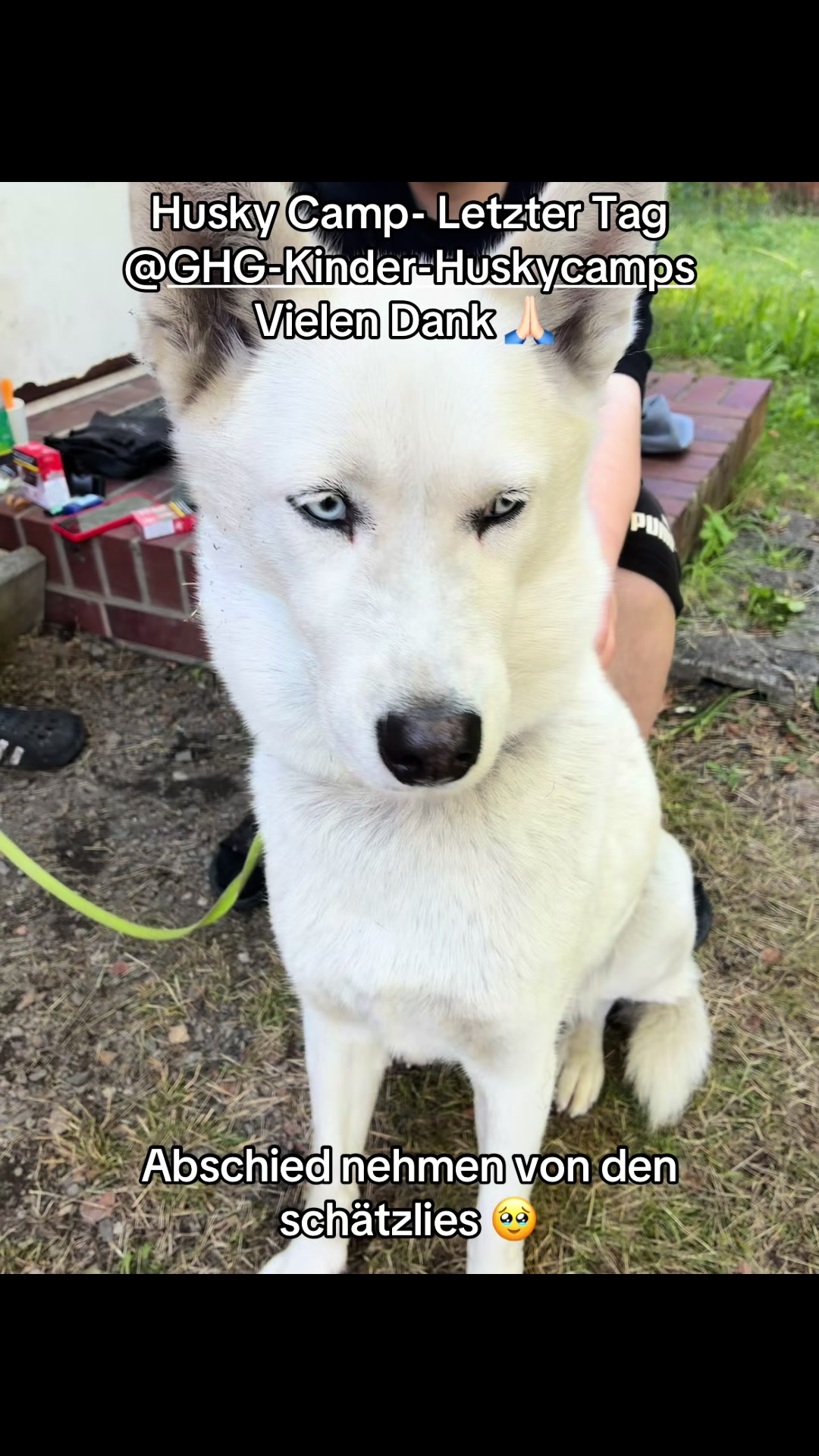 @Lenis-Hundewelt 🐾🐾
