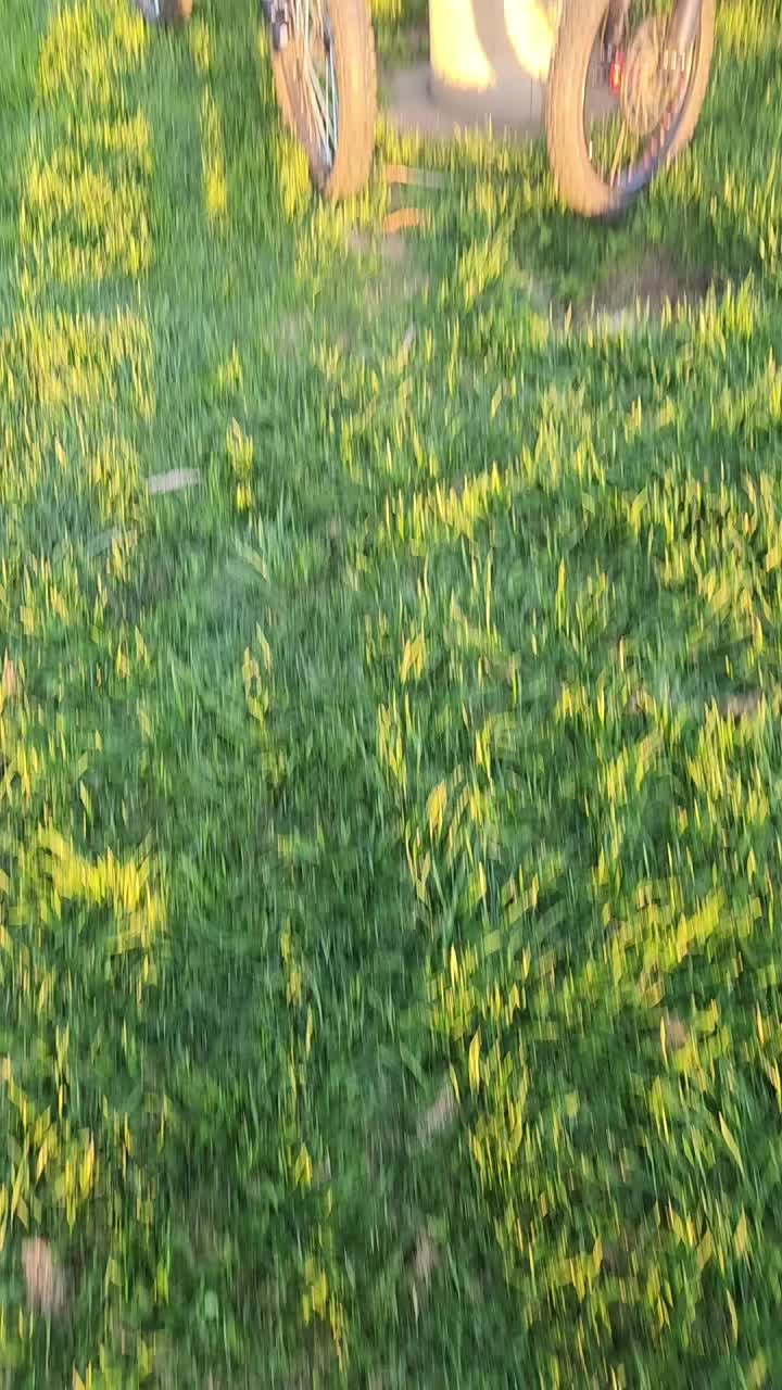 @72V_$ergio