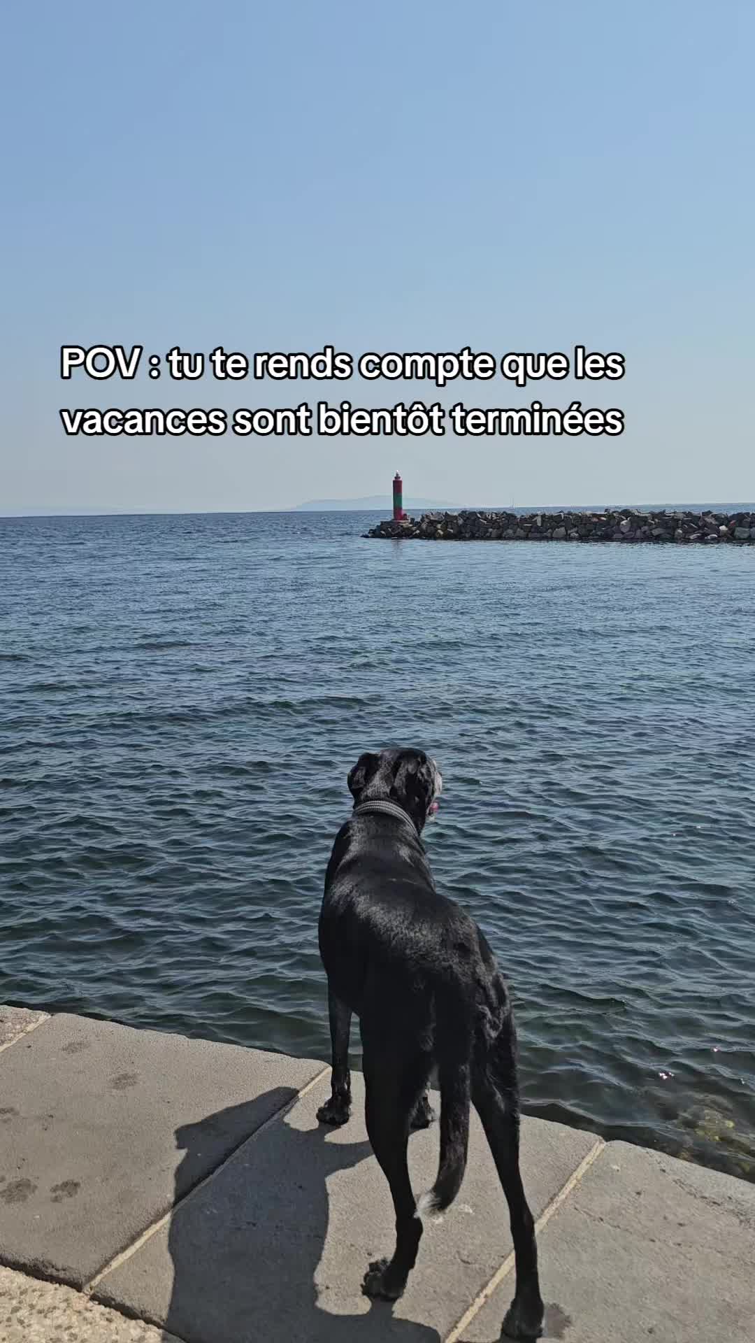 @Ne&iuml;ko Ne&iuml;ko